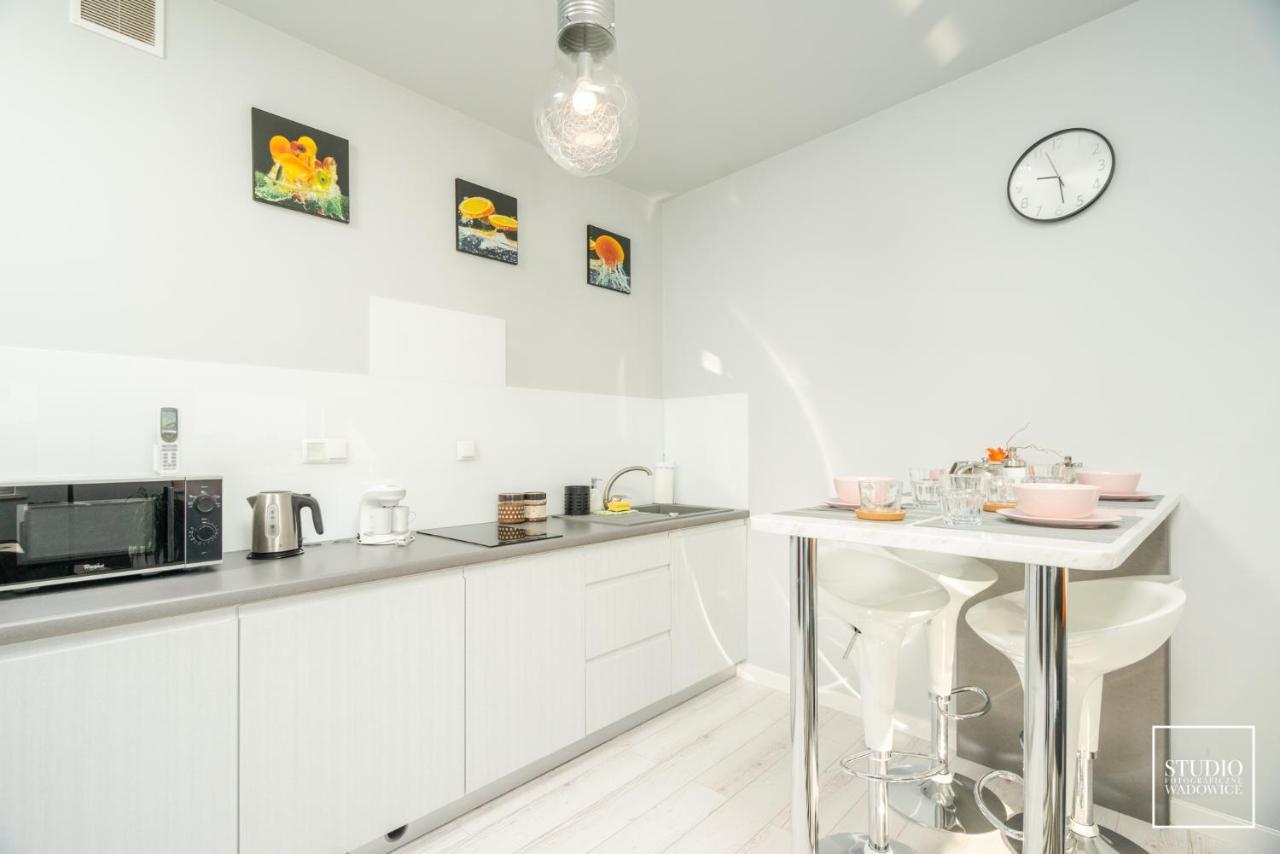 Apartament Modern Lejlighed Wadowice Eksteriør billede